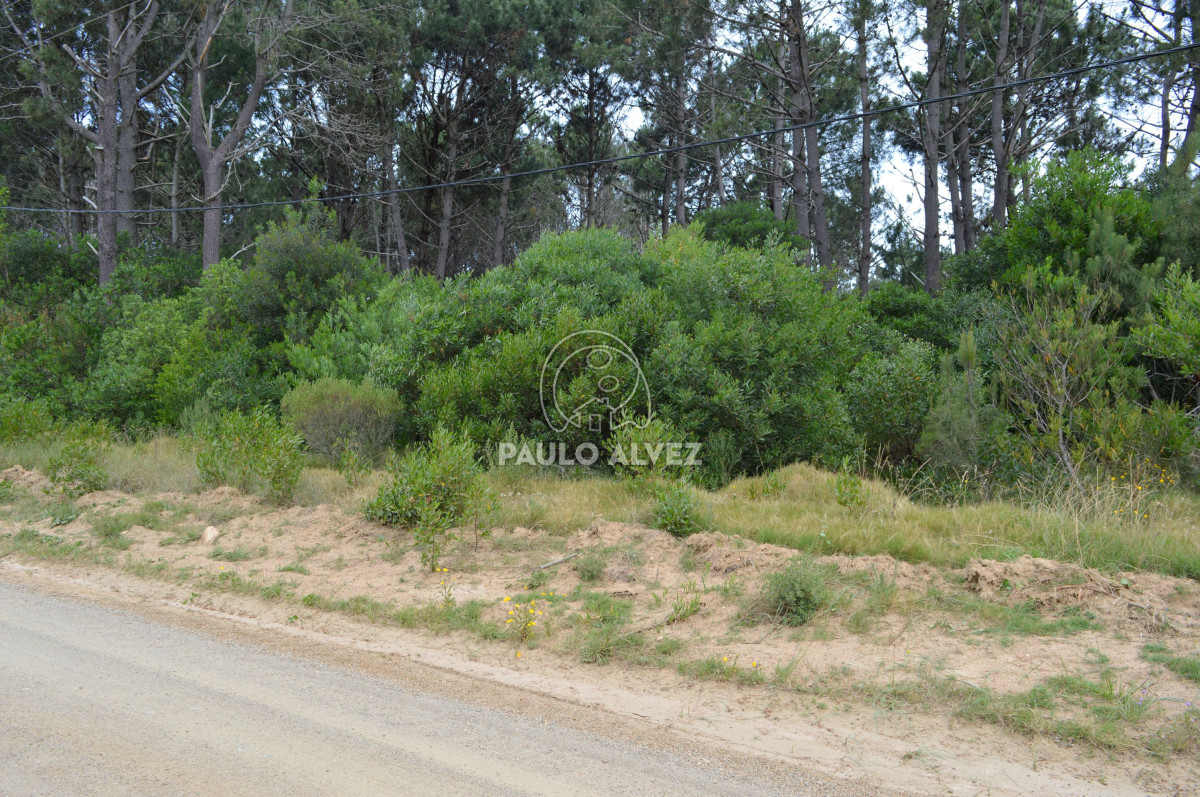 Punta Colorada - GoPunta - Portal Inmobiliario de Punta del Este - Maldonado