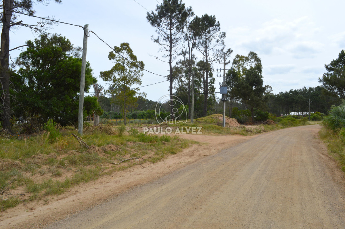 Punta Colorada - GoPunta - Portal Inmobiliario de Punta del Este - Maldonado