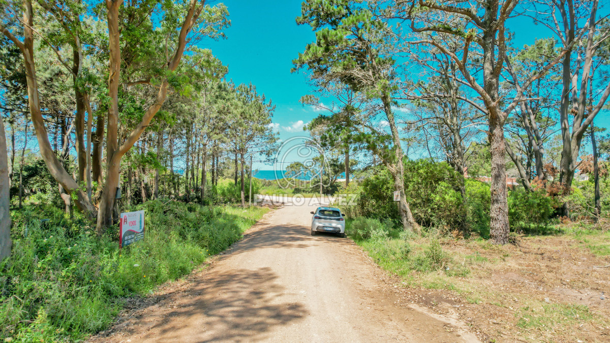 Punta Colorada - GoPunta - Portal Inmobiliario de Punta del Este - Maldonado