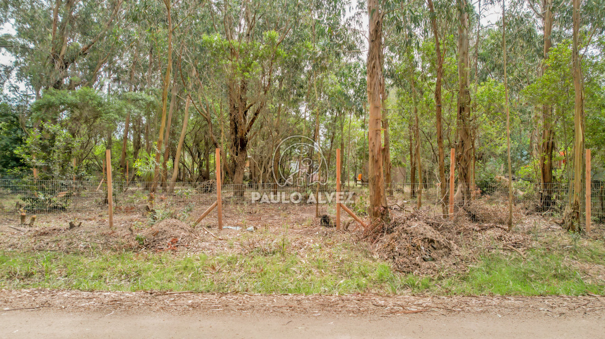 Punta Negra - GoPunta - Portal Inmobiliario de Punta del Este - Maldonado