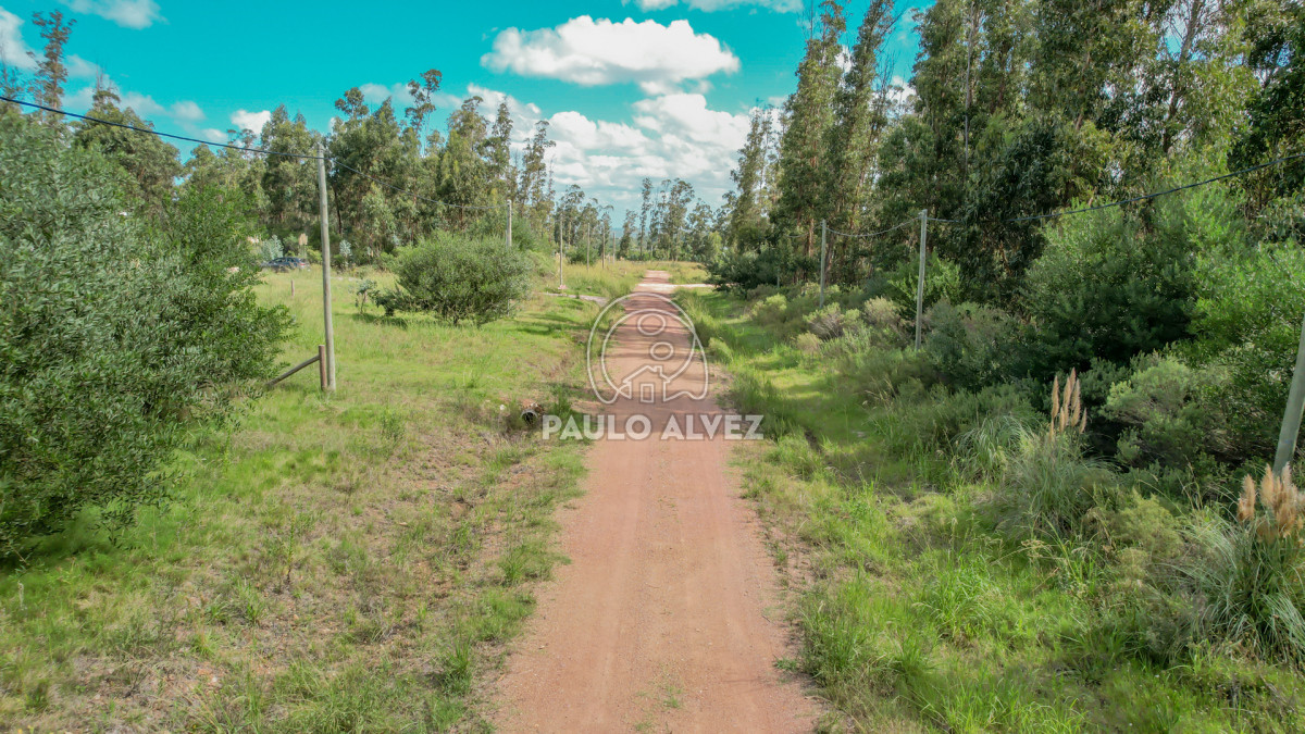 Punta Colorada - GoPunta - Portal Inmobiliario de Punta del Este - Maldonado