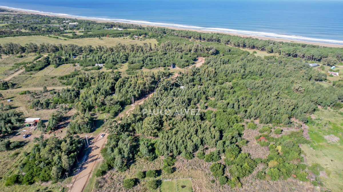 Barra Portezuelo - GoPunta - Portal Inmobiliario de Punta del Este - Maldonado