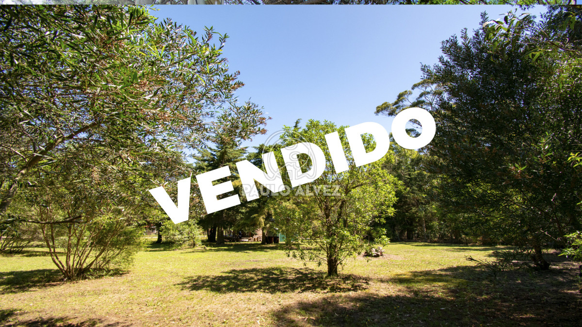 Bella Vista - GoPunta - Portal Inmobiliario de Punta del Este - Maldonado