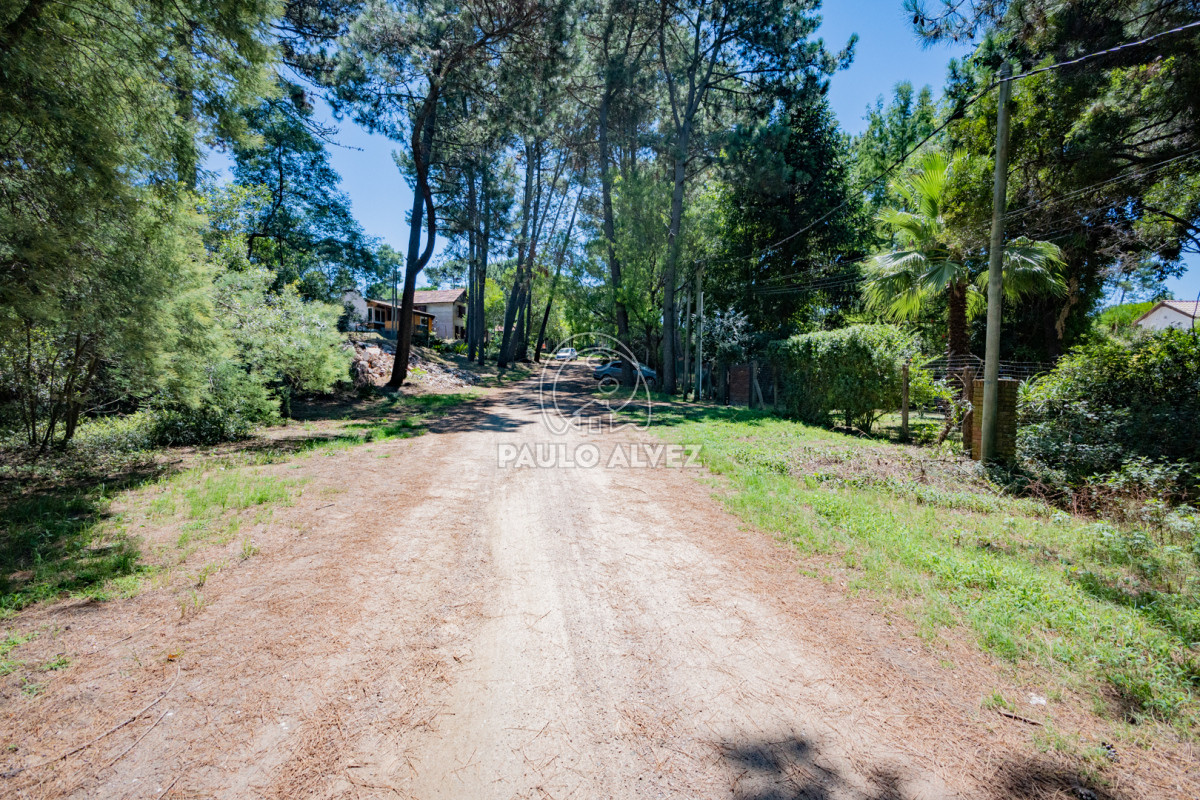 Country - GoPunta - Portal Inmobiliario de Punta del Este - Maldonado