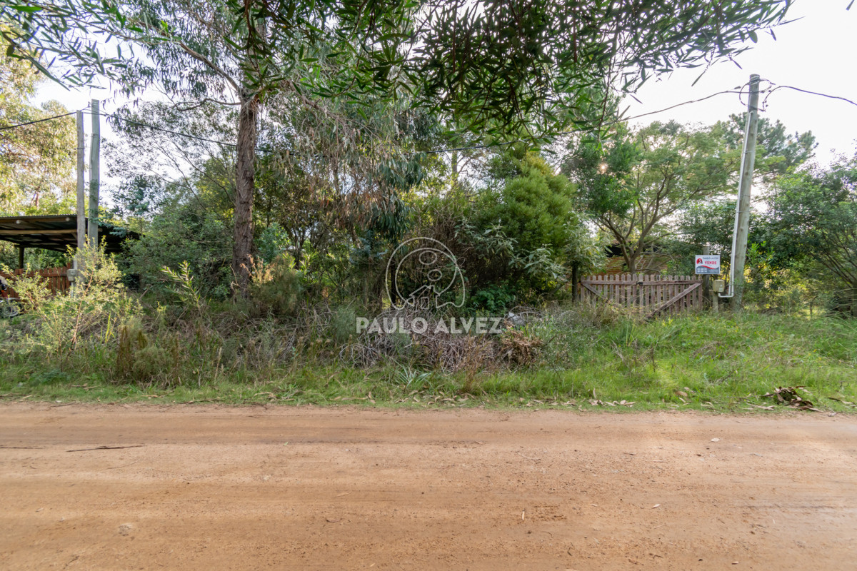 Punta Negra - GoPunta - Portal Inmobiliario de Punta del Este - Maldonado