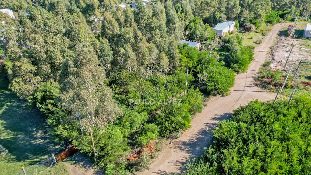 Punta Colorada - GoPunta - Portal Inmobiliario de Punta del Este - Maldonado
