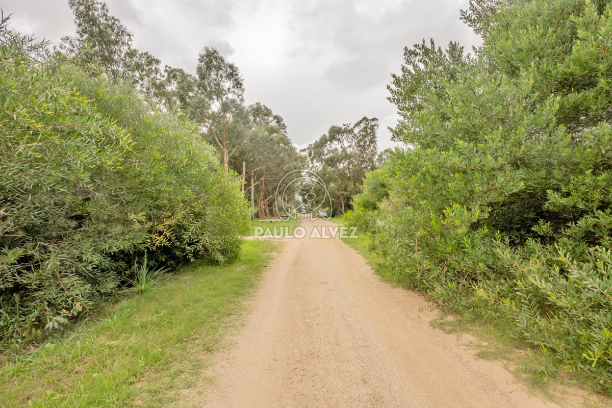 Punta Negra - GoPunta - Portal Inmobiliario de Punta del Este - Maldonado