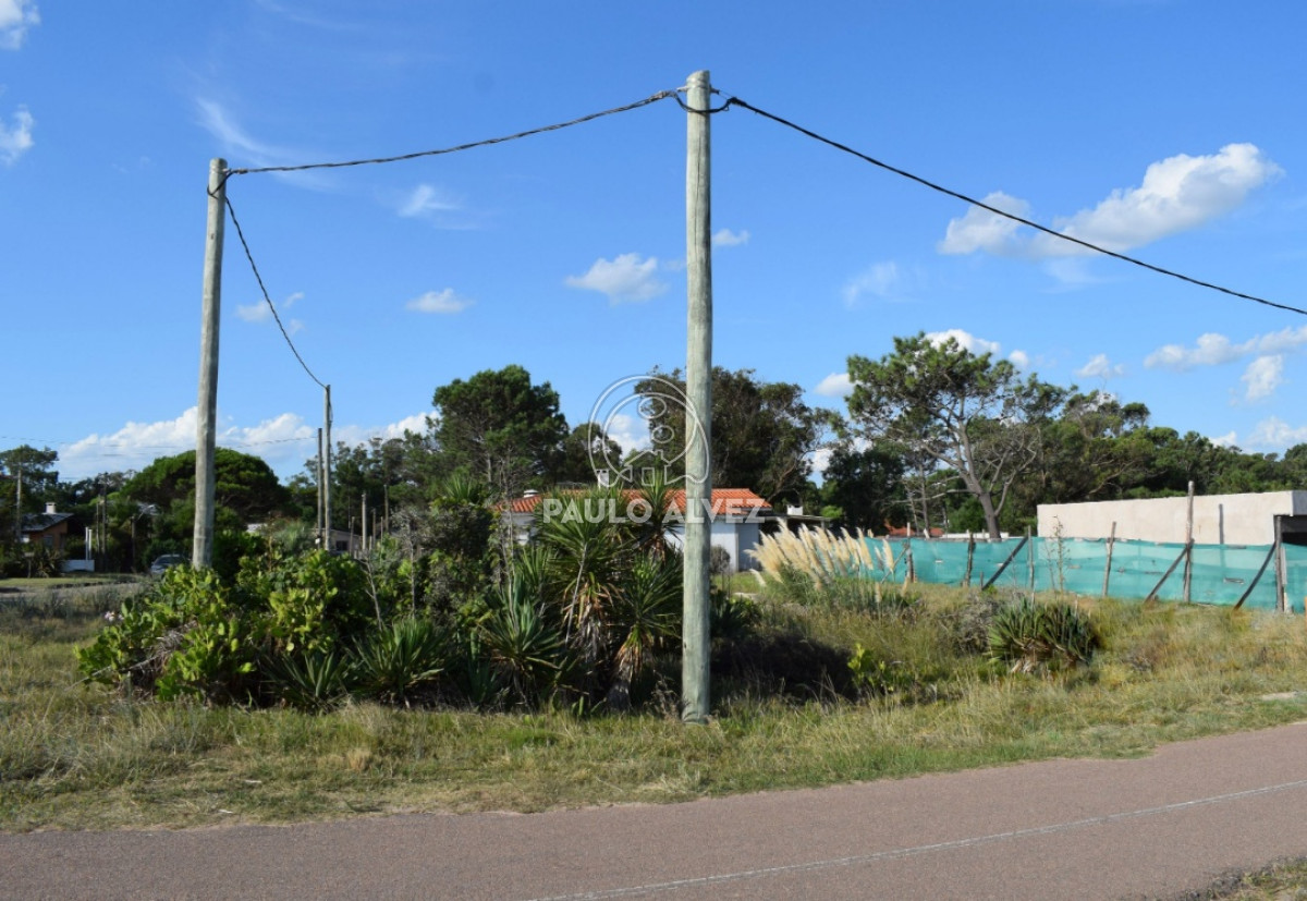 Playa Grande - GoPunta - Portal Inmobiliario de Punta del Este - Maldonado
