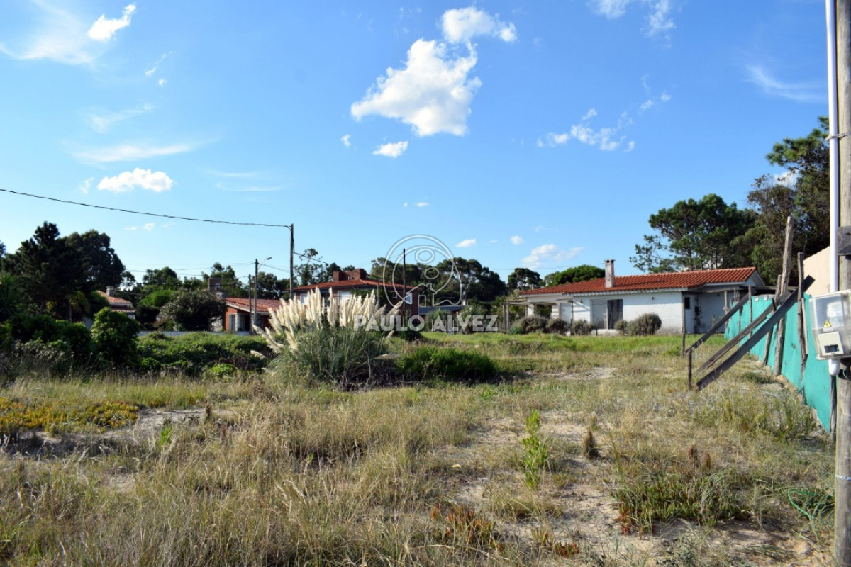 Playa Grande - GoPunta - Portal Inmobiliario de Punta del Este - Maldonado