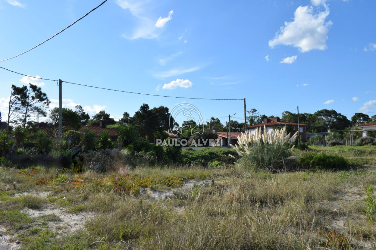 Playa Grande - GoPunta - Portal Inmobiliario de Punta del Este - Maldonado