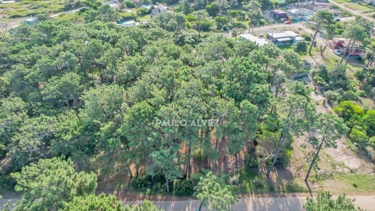 Punta Colorada - GoPunta - Portal Inmobiliario de Punta del Este - Maldonado