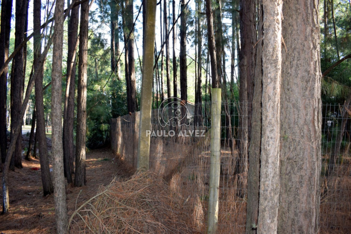 Piriápolis - GoPunta - Portal Inmobiliario de Punta del Este - Maldonado