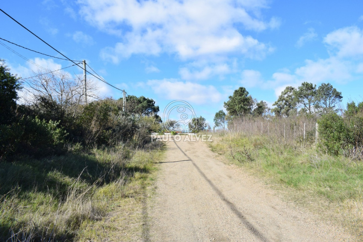 Playa Grande - GoPunta - Portal Inmobiliario de Punta del Este - Maldonado