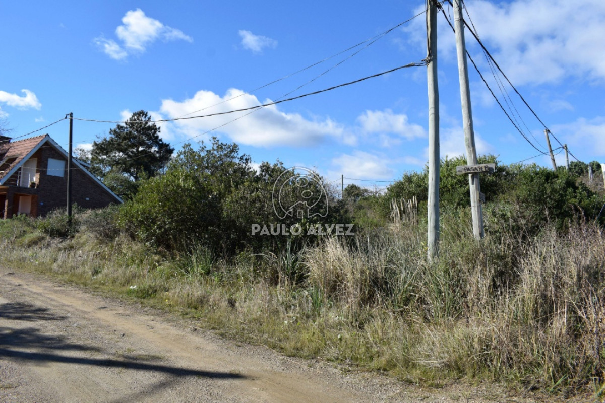 Playa Grande - GoPunta - Portal Inmobiliario de Punta del Este - Maldonado