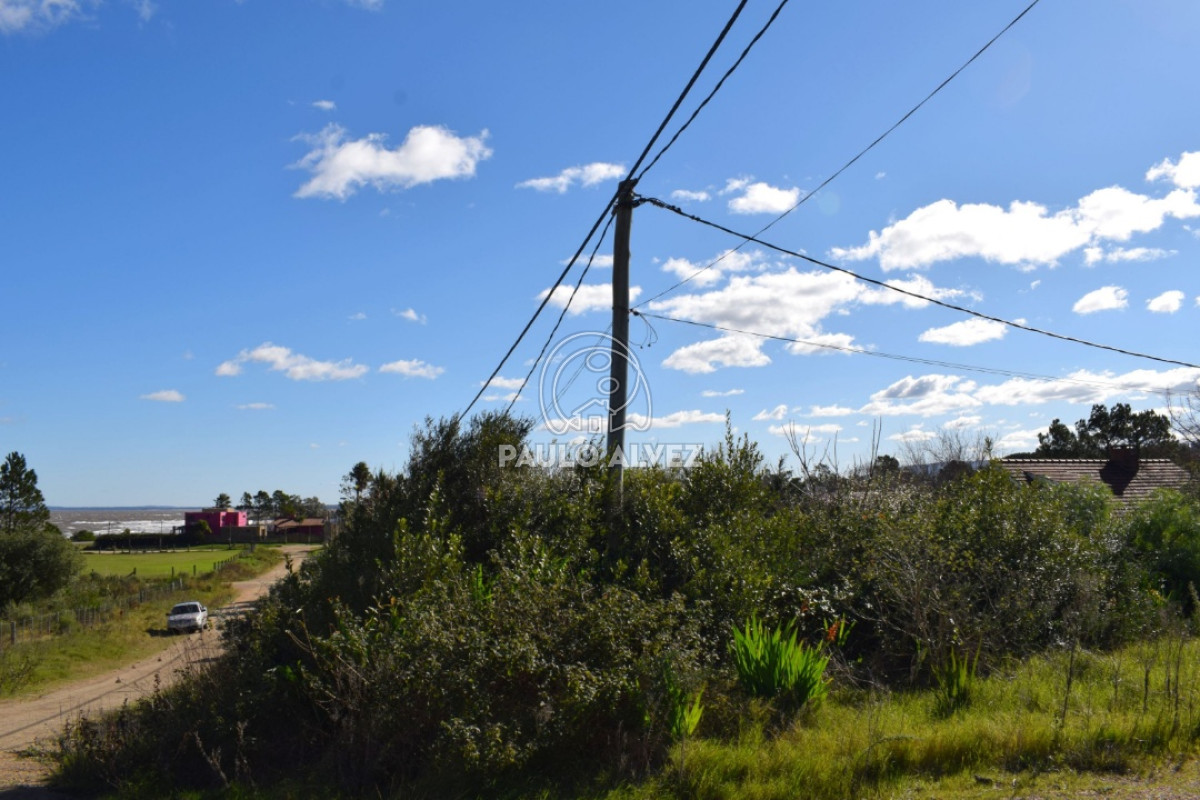 Playa Grande - GoPunta - Portal Inmobiliario de Punta del Este - Maldonado