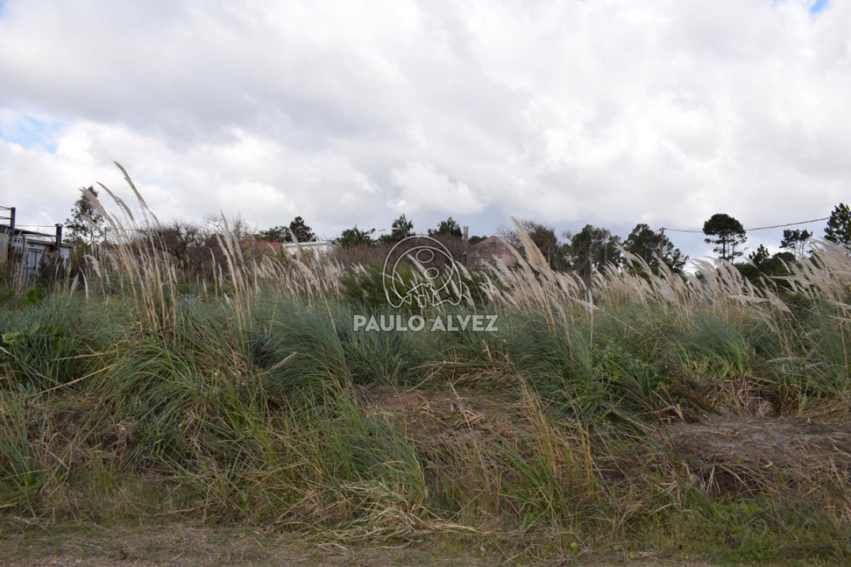 Playa Grande - GoPunta - Portal Inmobiliario de Punta del Este - Maldonado