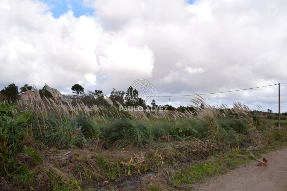 Playa Grande - GoPunta - Portal Inmobiliario de Punta del Este - Maldonado