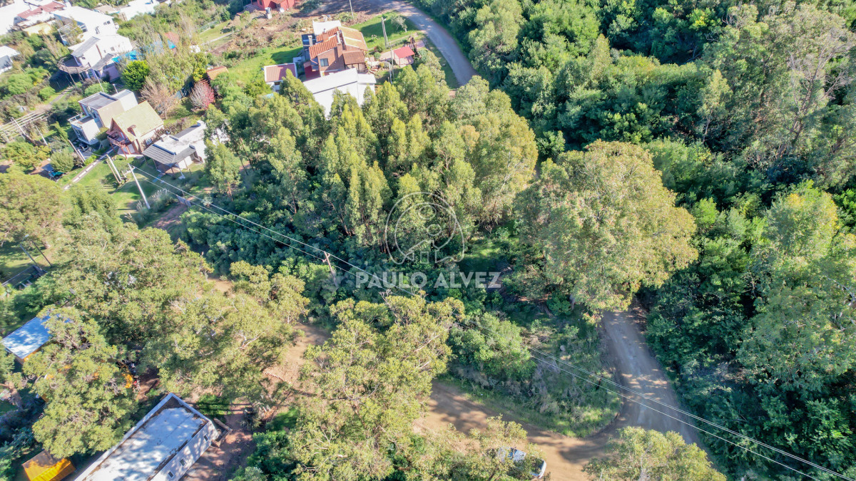 Punta Fria - GoPunta - Portal Inmobiliario de Punta del Este - Maldonado