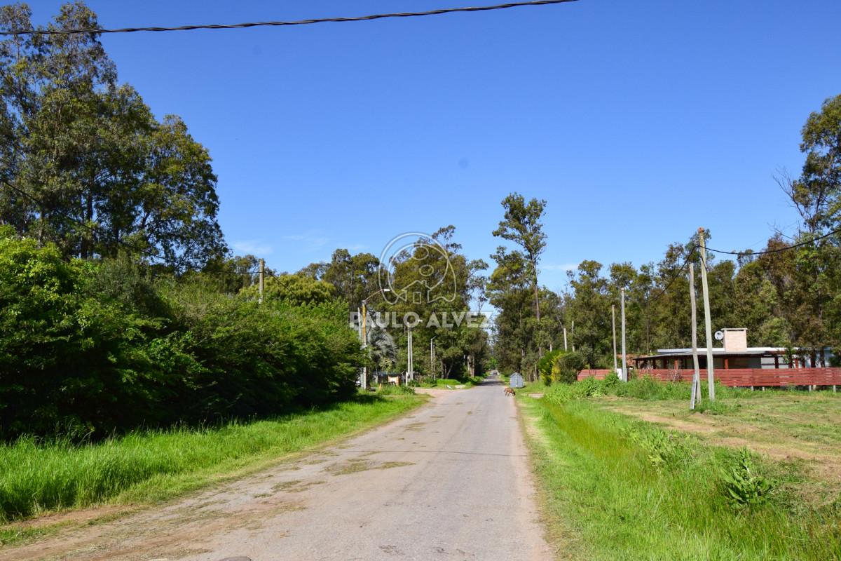Bella Vista - GoPunta - Portal Inmobiliario de Punta del Este - Maldonado
