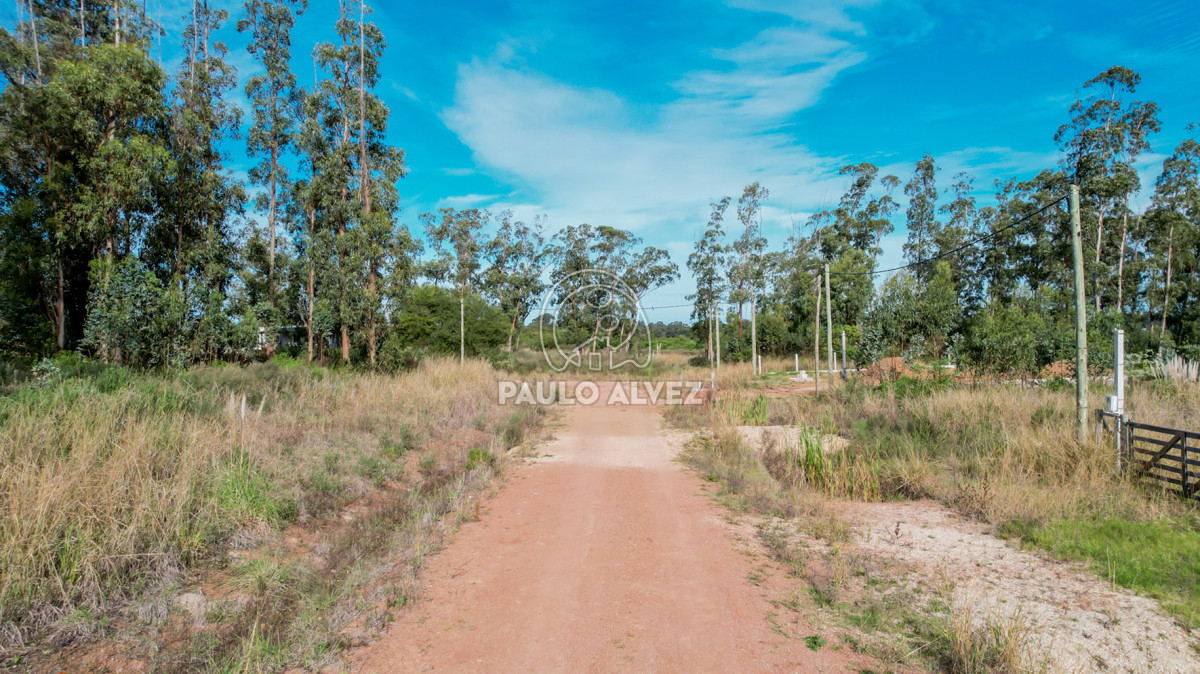 Punta Colorada - GoPunta - Portal Inmobiliario de Punta del Este - Maldonado