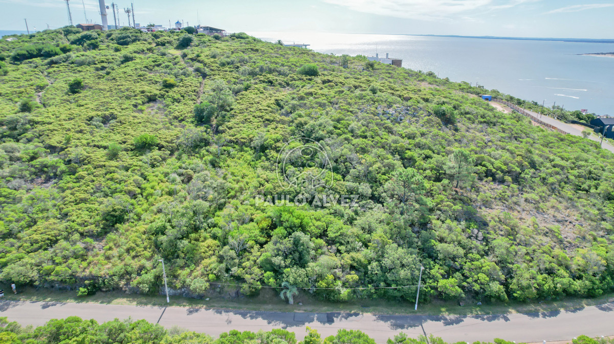 Piriápolis - GoPunta - Portal Inmobiliario de Punta del Este - Maldonado