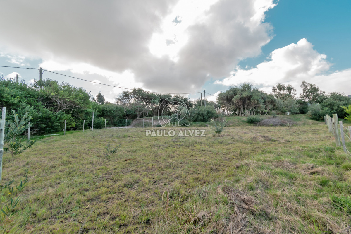 Barra Portezuelo - GoPunta - Portal Inmobiliario de Punta del Este - Maldonado
