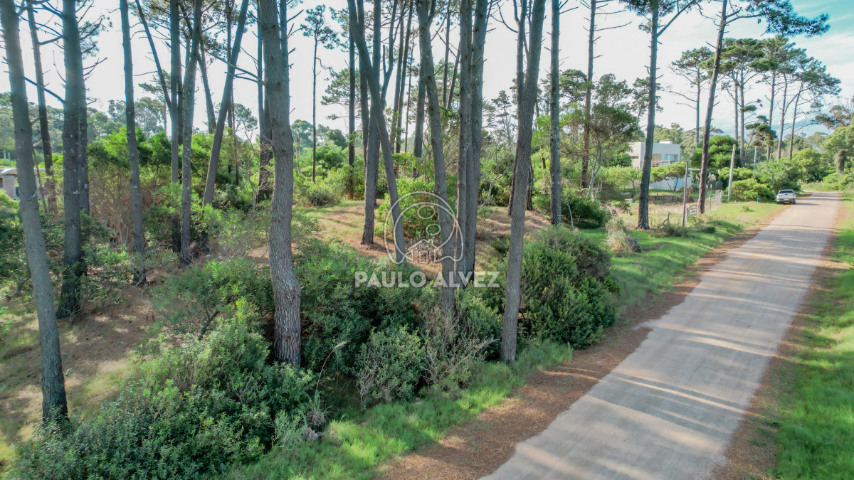 Punta Colorada - GoPunta - Portal Inmobiliario de Punta del Este - Maldonado