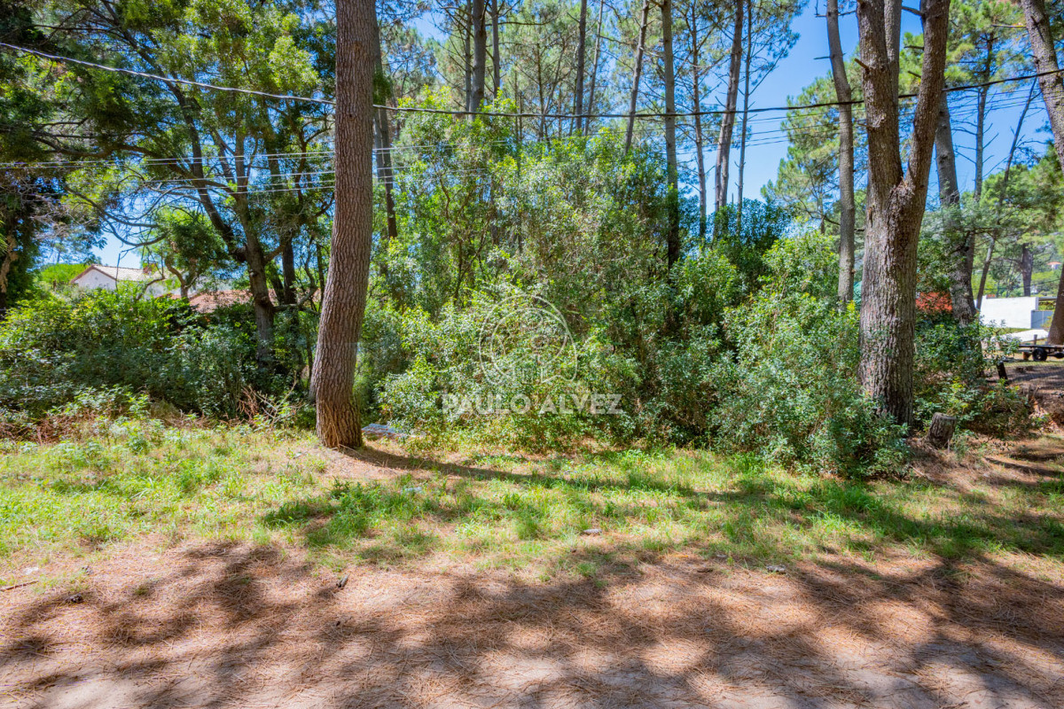Country - GoPunta - Portal Inmobiliario de Punta del Este - Maldonado