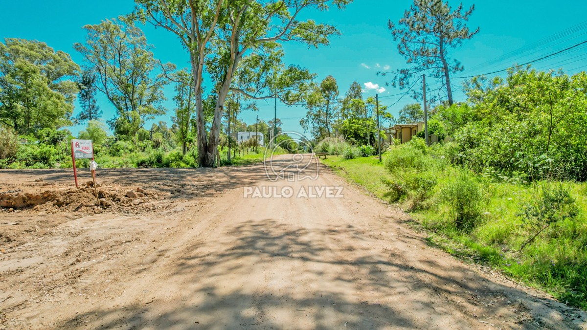 Punta Colorada - GoPunta - Portal Inmobiliario de Punta del Este - Maldonado