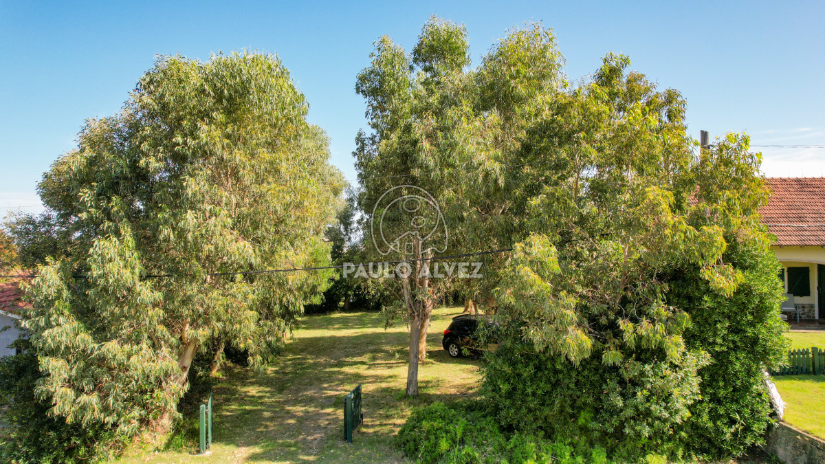 Bella Vista - GoPunta - Portal Inmobiliario de Punta del Este - Maldonado