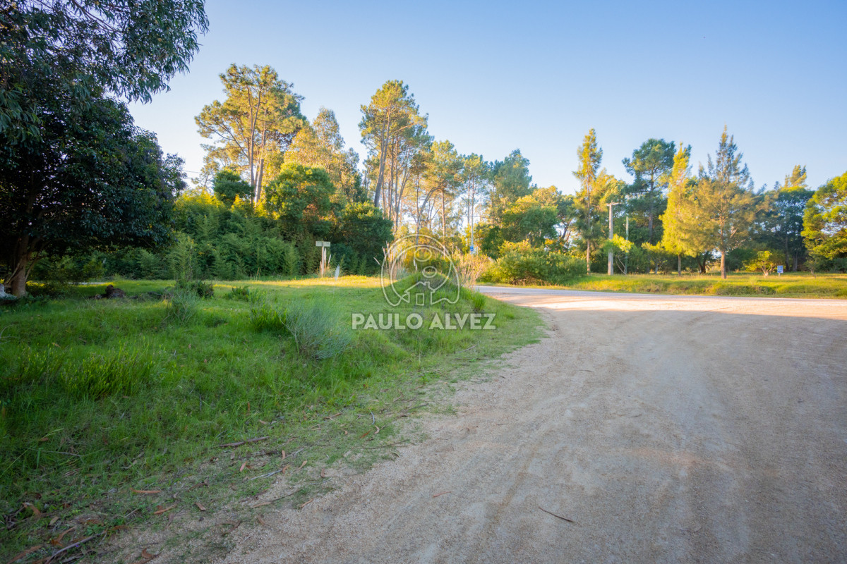 Solis - GoPunta - Portal Inmobiliario de Punta del Este - Maldonado