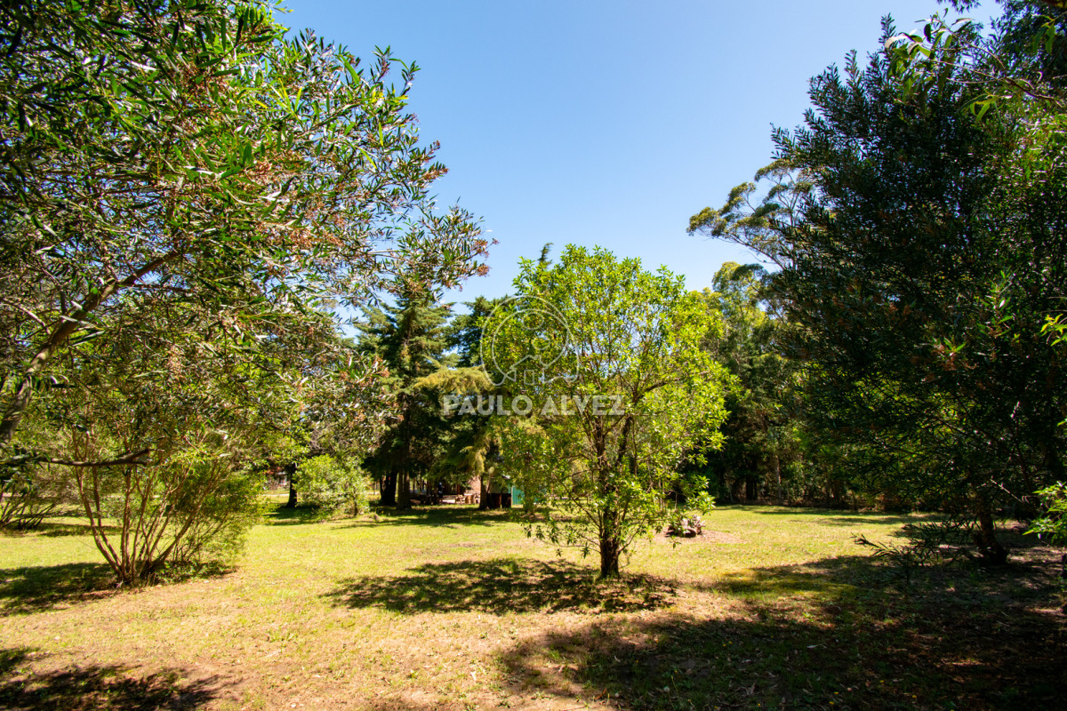 Bella Vista - GoPunta - Portal Inmobiliario de Punta del Este - Maldonado