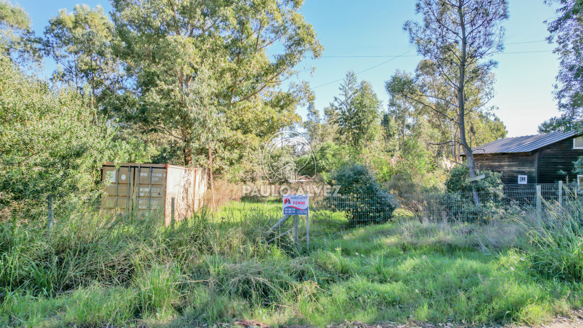 Punta Colorada - GoPunta - Portal Inmobiliario de Punta del Este - Maldonado