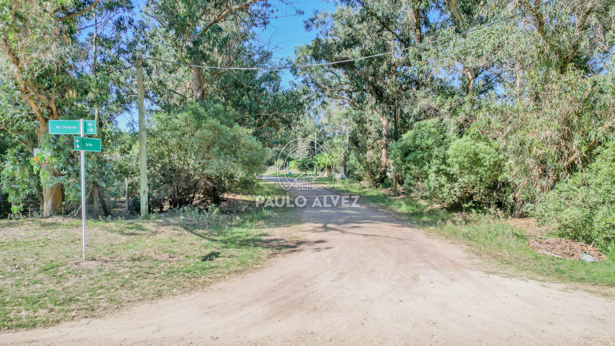Punta Negra - GoPunta - Portal Inmobiliario de Punta del Este - Maldonado
