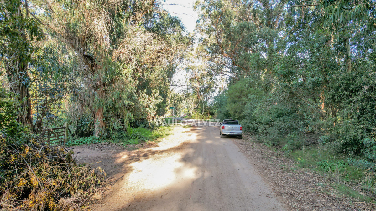 Punta Negra - GoPunta - Portal Inmobiliario de Punta del Este - Maldonado