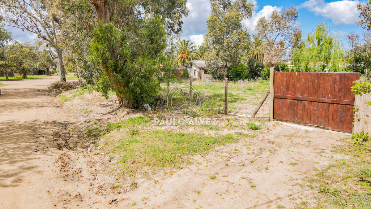 Playa Grande - GoPunta - Portal Inmobiliario de Punta del Este - Maldonado