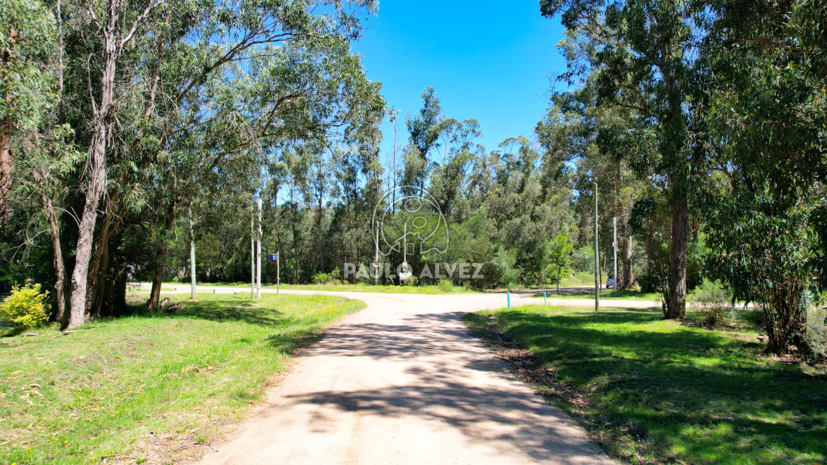 Bella Vista - GoPunta - Portal Inmobiliario de Punta del Este - Maldonado