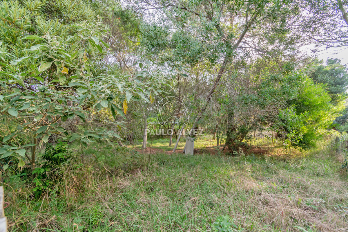 Punta Negra - GoPunta - Portal Inmobiliario de Punta del Este - Maldonado