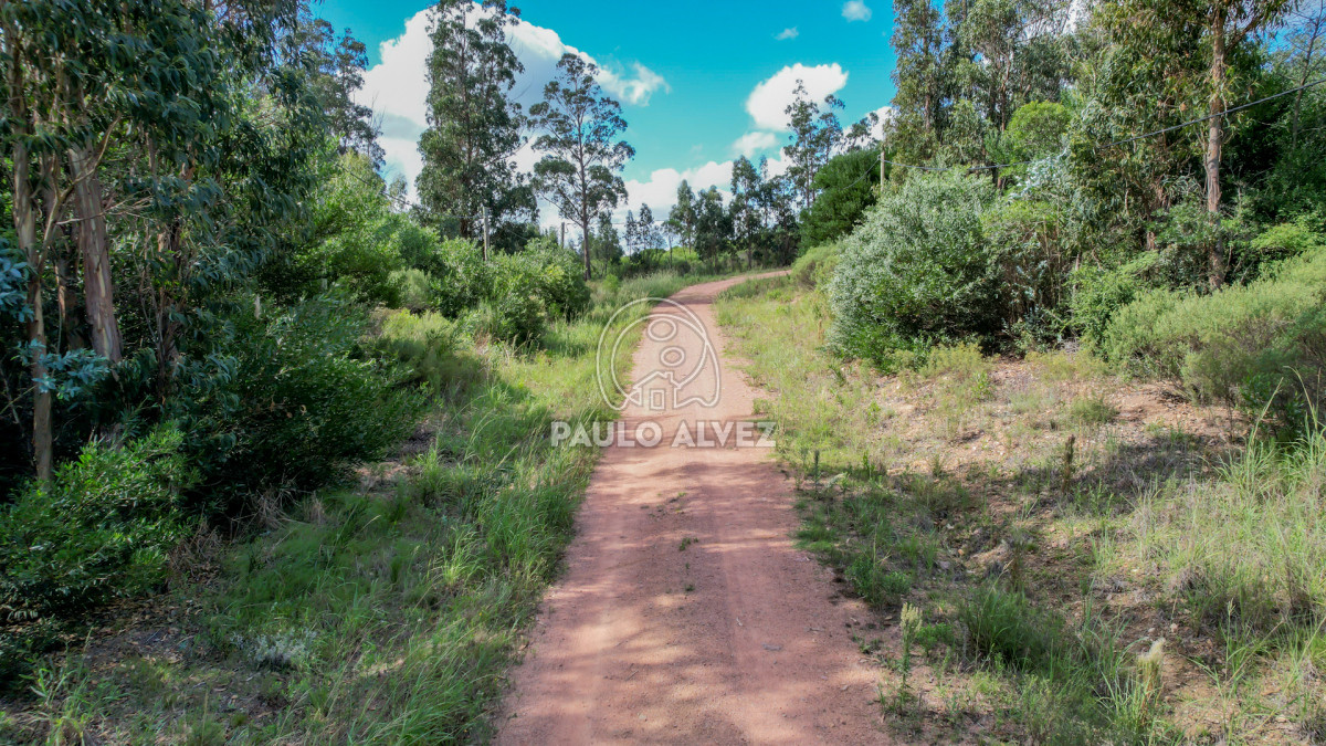 Punta Colorada - GoPunta - Portal Inmobiliario de Punta del Este - Maldonado
