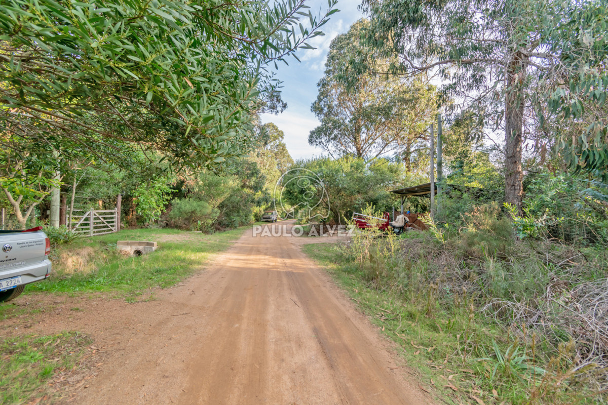Punta Negra - GoPunta - Portal Inmobiliario de Punta del Este - Maldonado