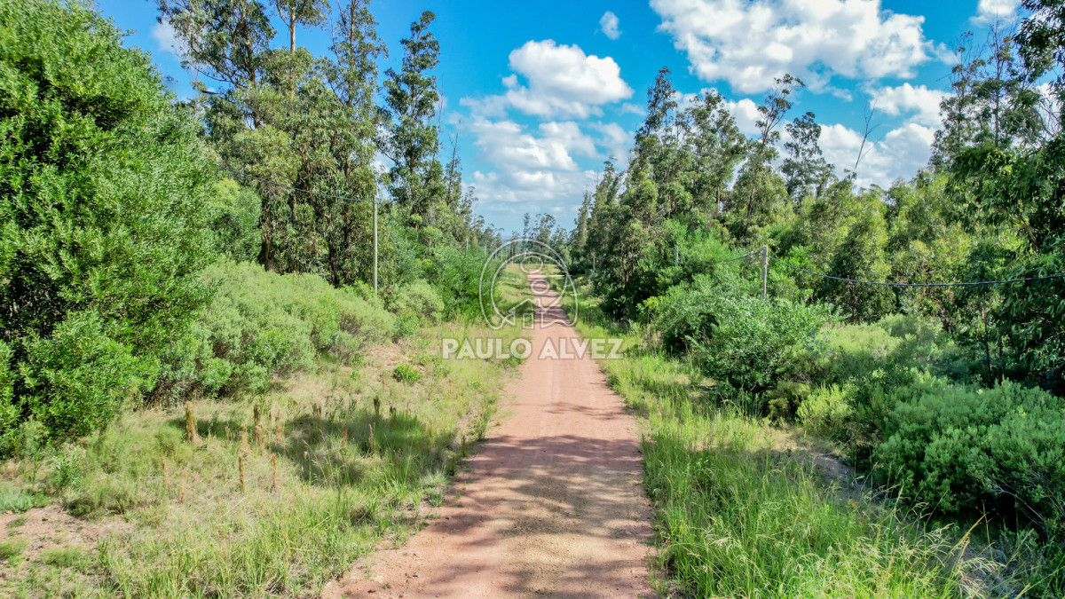 Punta Colorada - GoPunta - Portal Inmobiliario de Punta del Este - Maldonado
