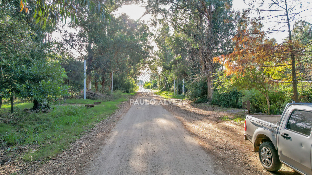 Punta Negra - GoPunta - Portal Inmobiliario de Punta del Este - Maldonado