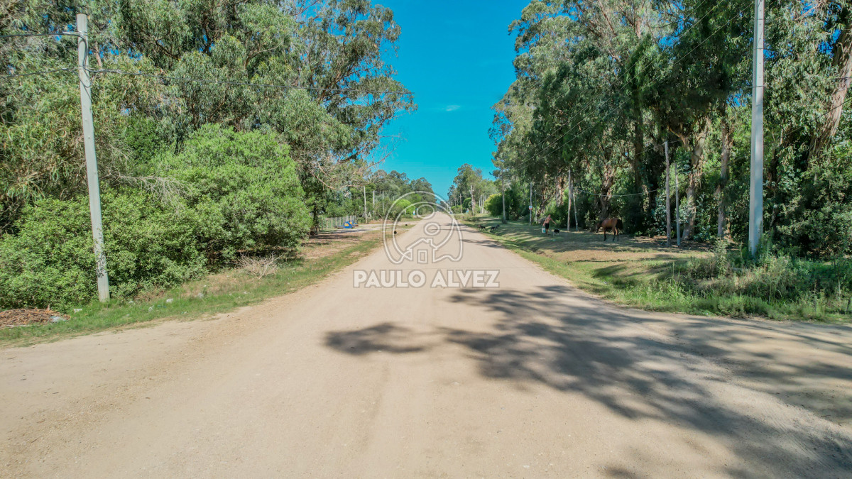 Punta Negra - GoPunta - Portal Inmobiliario de Punta del Este - Maldonado