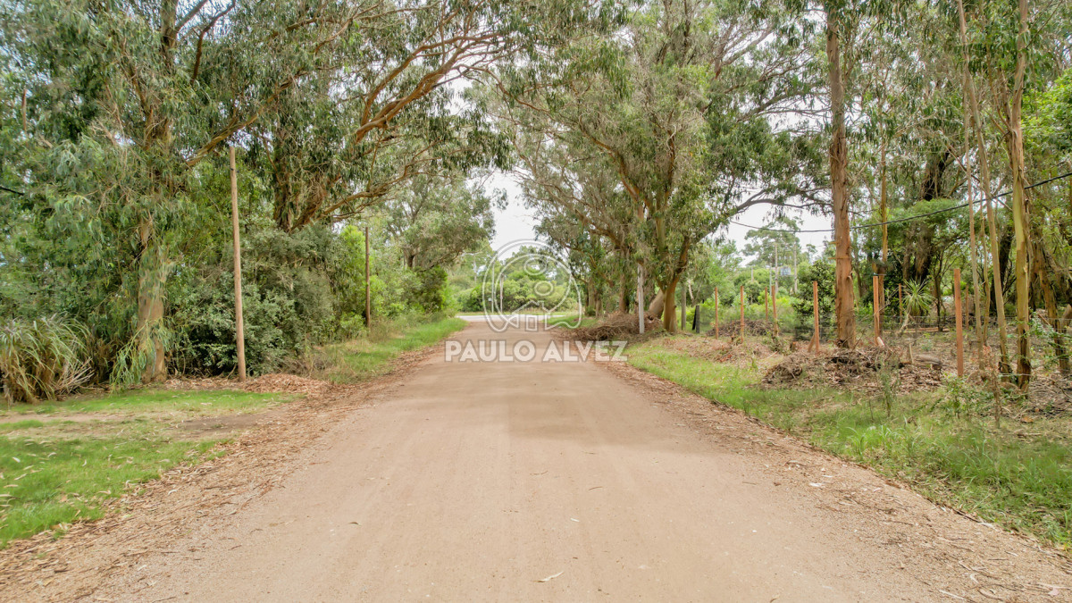 Punta Negra - GoPunta - Portal Inmobiliario de Punta del Este - Maldonado