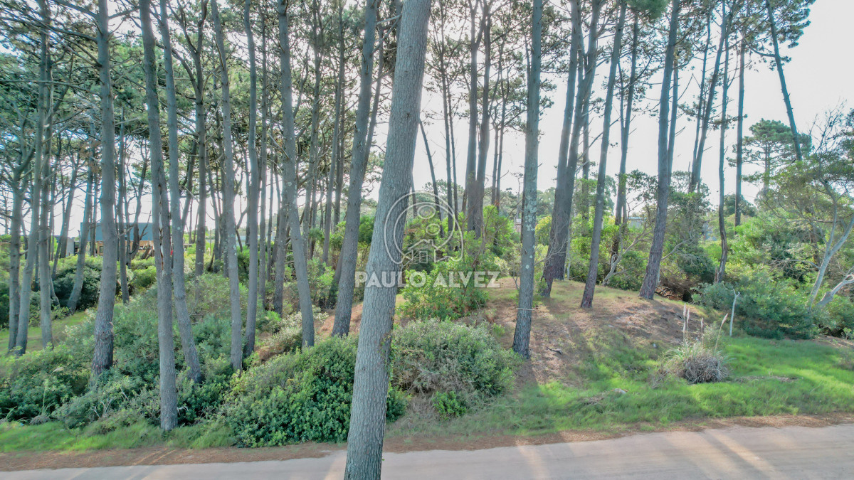 Punta Colorada - GoPunta - Portal Inmobiliario de Punta del Este - Maldonado