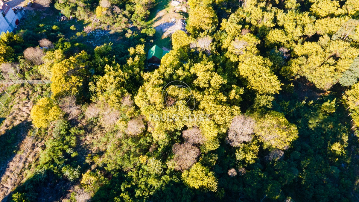 Sierras del Tirol - GoPunta - Portal Inmobiliario de Punta del Este - Maldonado