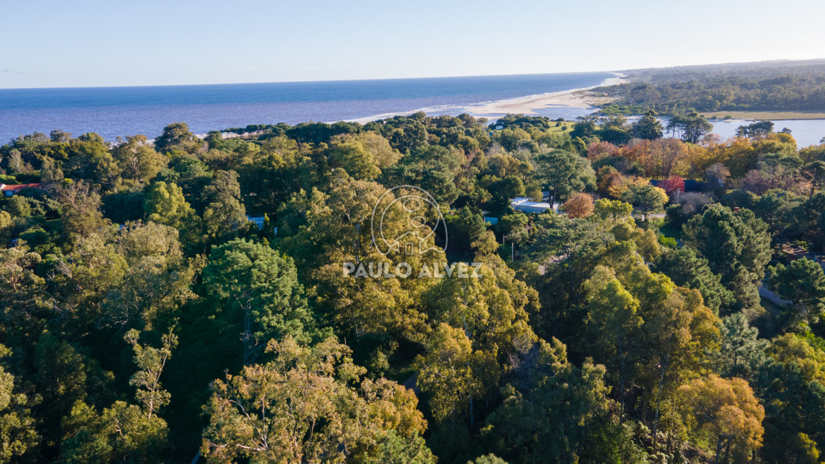 Solis - GoPunta - Portal Inmobiliario de Punta del Este - Maldonado