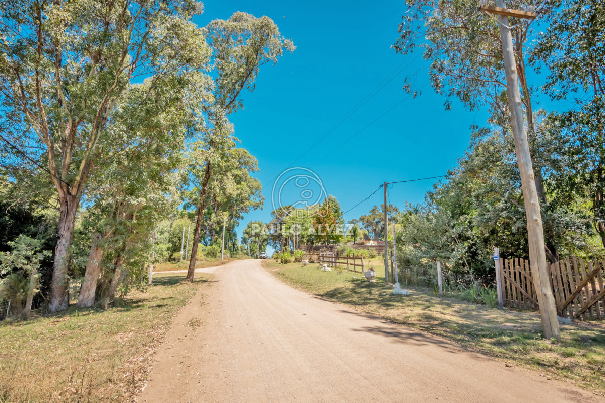Punta Colorada - GoPunta - Portal Inmobiliario de Punta del Este - Maldonado