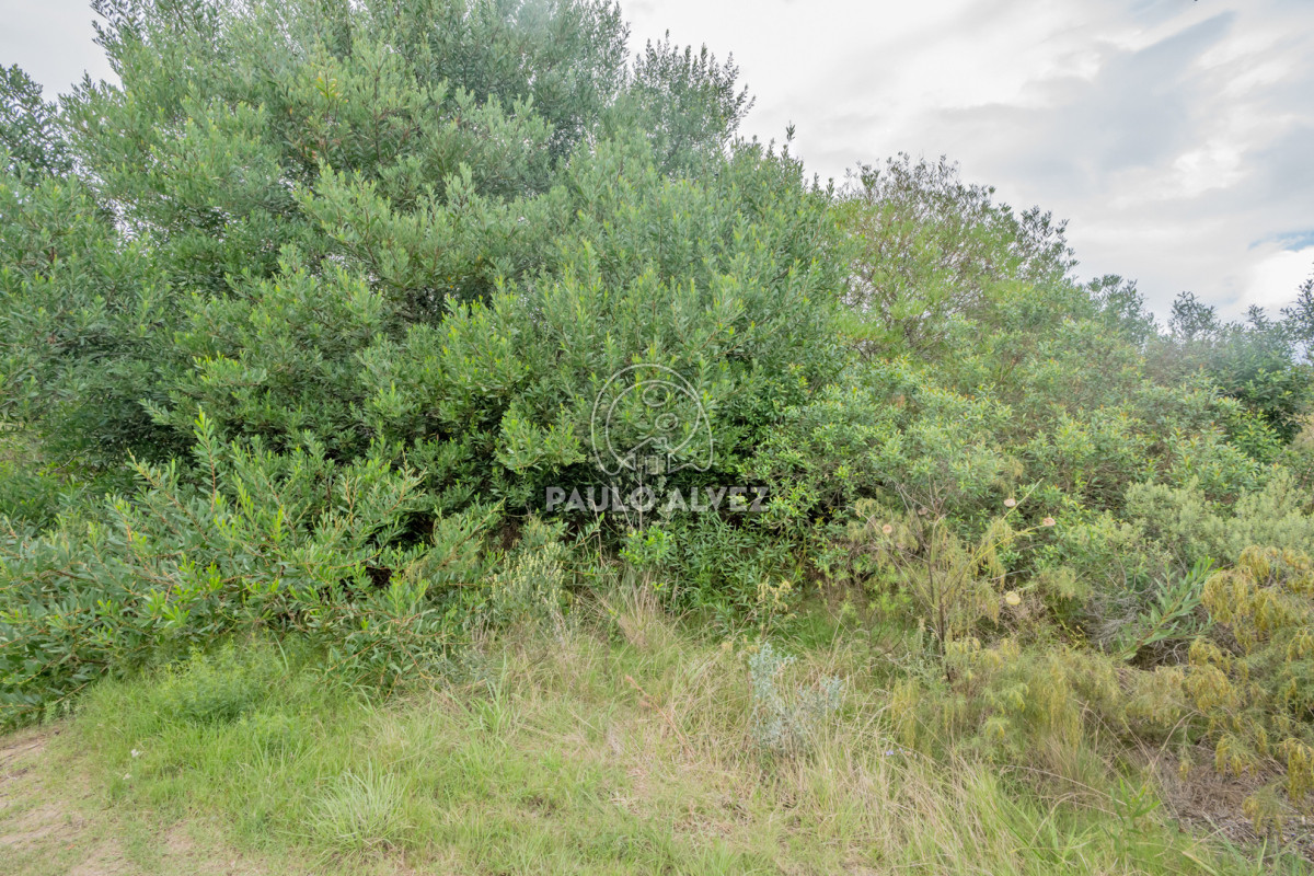 Punta Negra - GoPunta - Portal Inmobiliario de Punta del Este - Maldonado