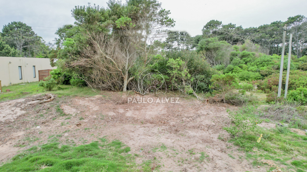Punta Colorada - GoPunta - Portal Inmobiliario de Punta del Este - Maldonado